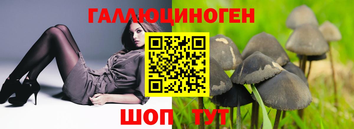 Псилоцибиновые грибы GOLDEN TEACHER  Галлюциногенные грибы мухоморы  Самара  Вход с VPN 